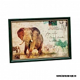 ������� (�����) 20*30 �2 ����
