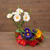 ����� ����������� ������� 6���. 42��.  (�043) 5�����