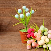 ����� ��� ������������ 7���. 38��.