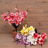 �����  ������� 5����� 45��. 6�����