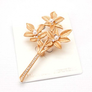 ������ "�������"