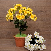 ����� ������� 11����� 53��.