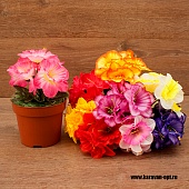 ����� �������� 5���. 20��. 9�����