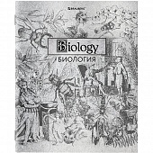 ������� ���������� 48�. ��. SILVER ��������