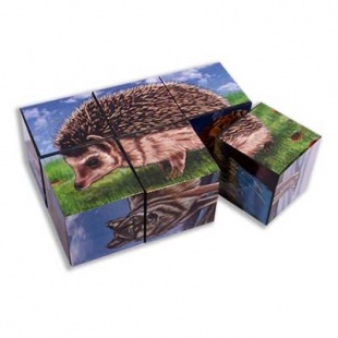 ������ ����������� "��������" 6��.