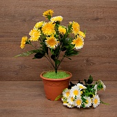 ����� ����������� ������� 13���. 52��.