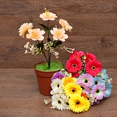 ����� �������+������ 5���. 30��. 6�����