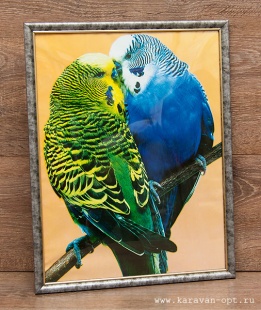 ������ 30�38 �������