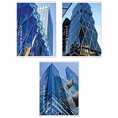 ������� 48�. ��. "CONCRETE JUNGLE" �4