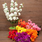 ����� ������ 5����� 70��.