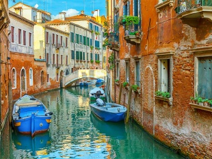 ��������� �� ������� -����� � �������� "��������� ����� � �������" 40�50��.