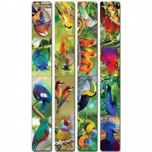 ��������-��������� "����� �������" (12��. � ������)