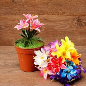 ����� ����������� 5���. 21��.