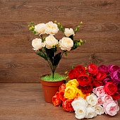 ����� ���� 6���. 38��.