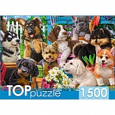 ����� 1500 ��. "�������� ������ � ����"