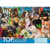 ����� 1500 ��. "�������� ������ � ����"