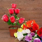 ����� ���� 7���. 40��. 6�����