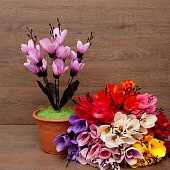 ����� ������� 5����� 52��.