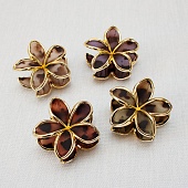 �������-���� "������" 4���� 3,5 ��