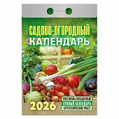  2026. "-" (  )