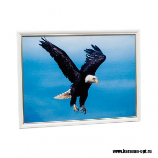 ������� (�����) 30*40 �16 ���