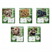  12. . ErichKrause "Baby Jungle"