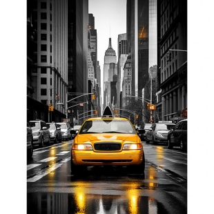 ������� �������� 30*40��."Ƹ���� �����" ��� ����.,� ����.���. 30��.