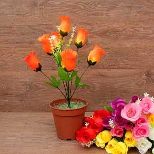 ����� ���� ����� 7���. 38��. 7�����