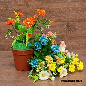   30