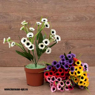 ����� ���������� 6����� 30��. 7�����