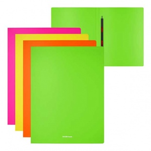 �������������� ����������� � ��������� ���������� ErichKrause Matt Neon  ����� � ������������