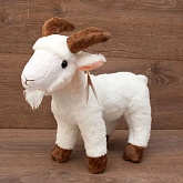 ������ �������  ������� 28��.