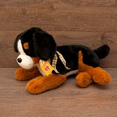 ���. ������ ������� 38��.