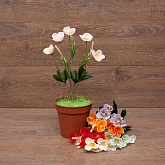 ����� ���� 5���. 30��. 6�����