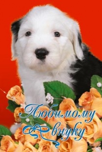 ����. "������� �����"