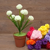 ����� ������� ��������� 7���. 35��.