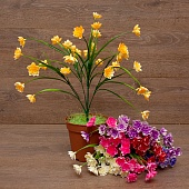 ����� ����������� ������� ����� 5����� 40��.