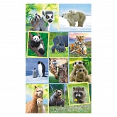 �������� "���� � ������"