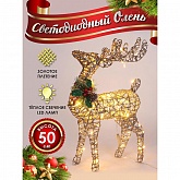 ����� ������������� �������� 50��.