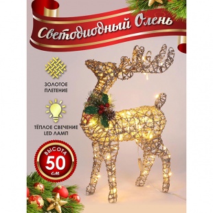 ����� ������������� �������� 50��.